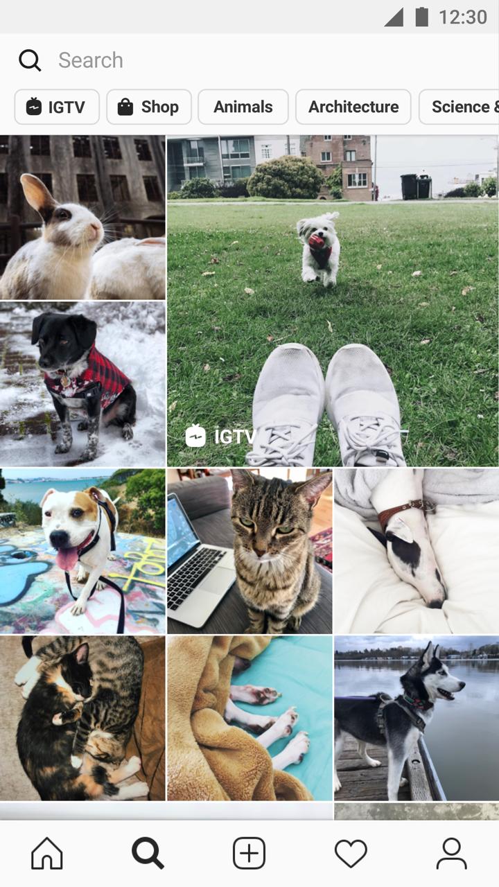 instagram安卓下载最新版本2023